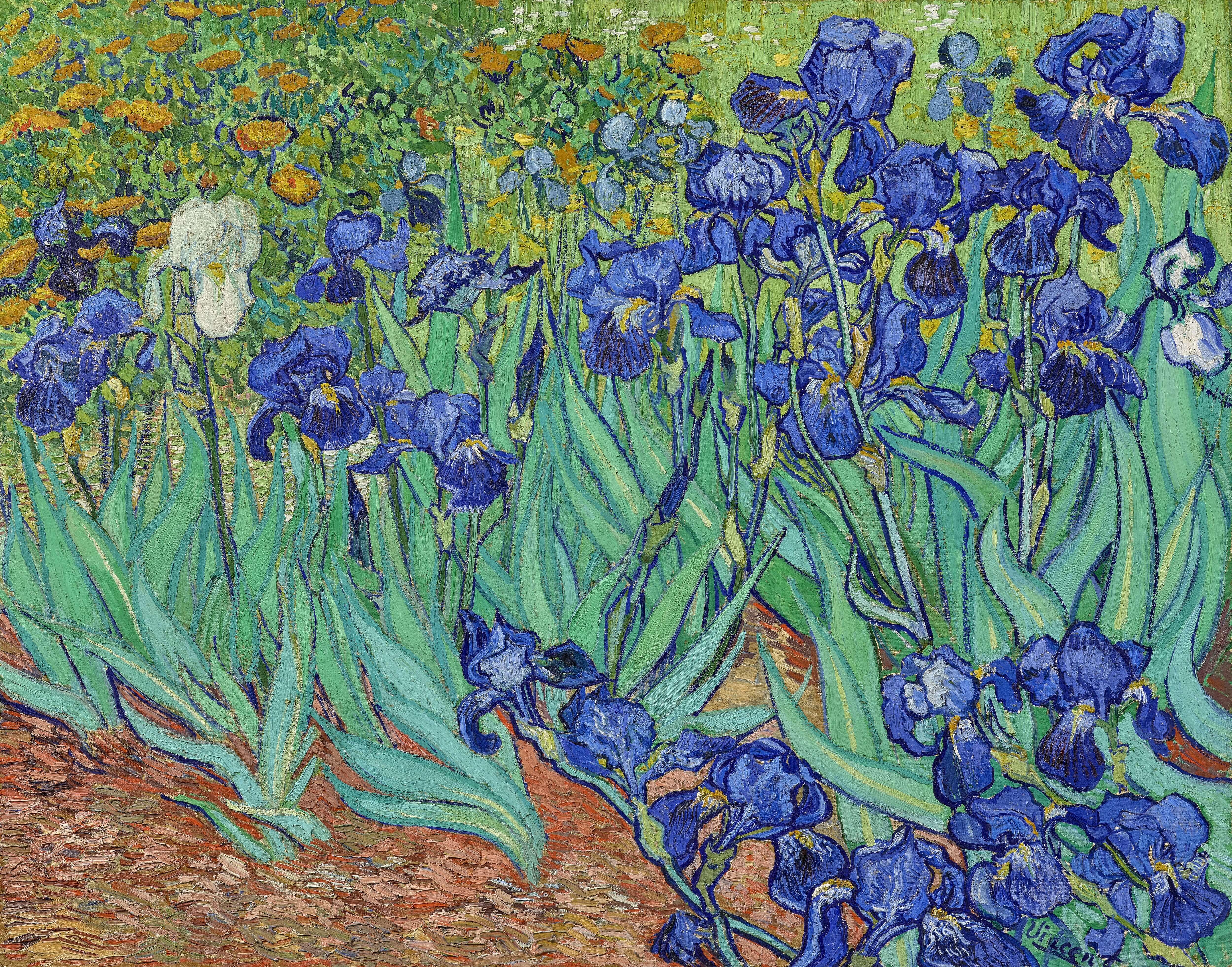 Irises Van Gogh, Vincent