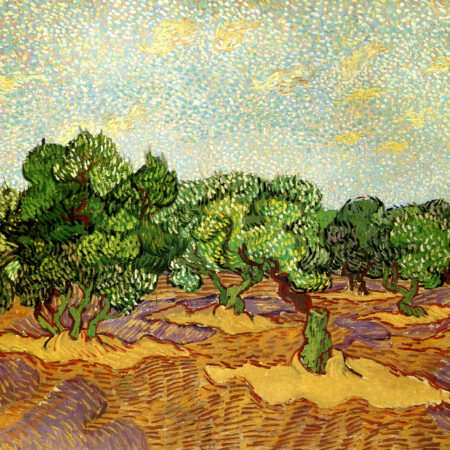 Olive Grove Pale Blue Sky Van Gogh, Vincent