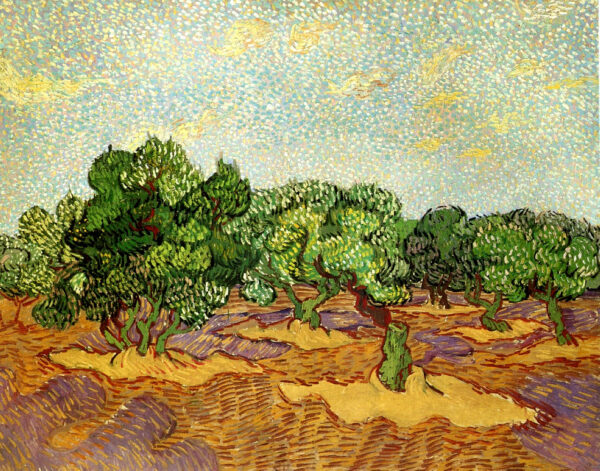 Olive Grove Pale Blue Sky Van Gogh, Vincent