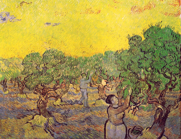 Olive Grove With Picking Figures Van Gogh, Vincent