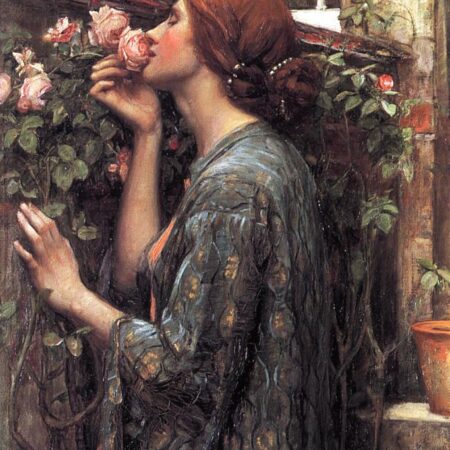 The Soul of the Rose 1908 Waterhouse, John Williams